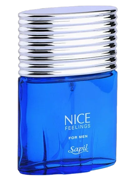 نایس فیلینگز (Nice Feelings) - تصویر ۱